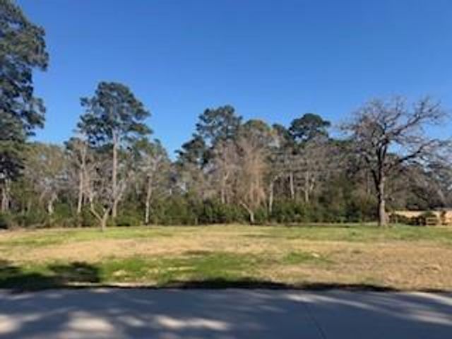 514 Black Bronco Road, Magnolia, TX 77354