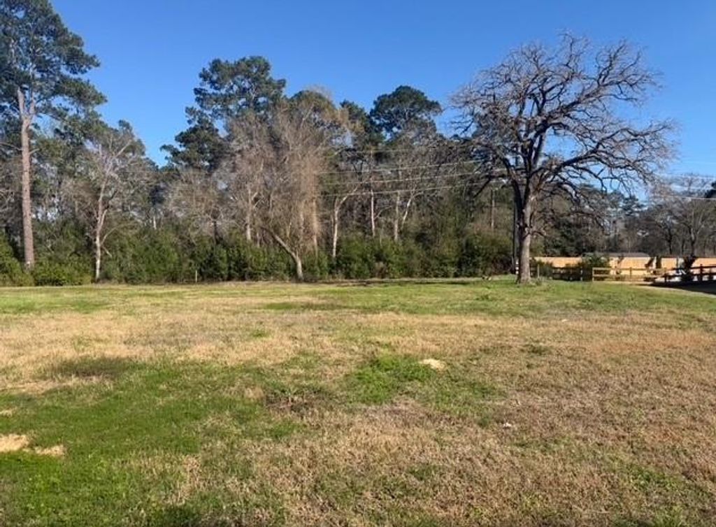 514 Black Bronco Road, Magnolia, TX 77354