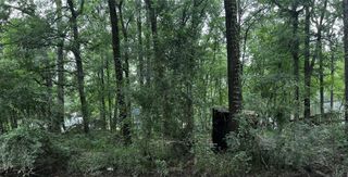 TBD Mudd Street, Coldspring, TX 77331