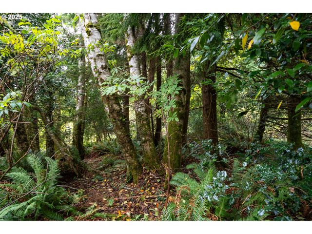 Rowe St 1800, Wheeler, OR 97147