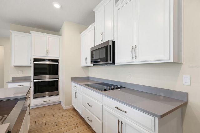 13441 PALMERA VISTA DRIVE, Riverview, FL 33579