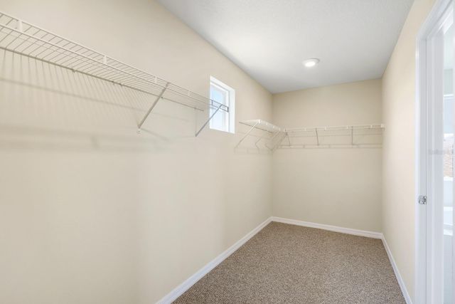 13441 PALMERA VISTA DRIVE, Riverview, FL 33579