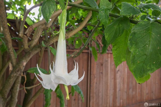 32 Richland Avenue 32, San Francisco, CA 94110