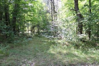Lot 1020 Teaberry Lane, Farwell, MI 48622