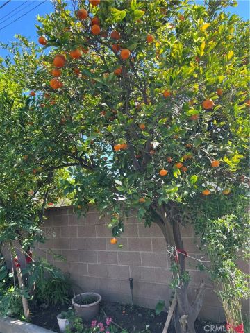 11508 Old River School Road, Downey, CA 90241