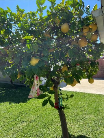 11508 Old River School Road, Downey, CA 90241