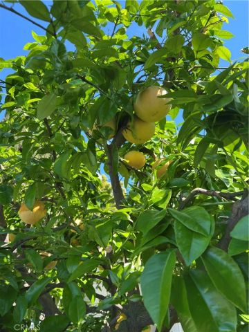 11508 Old River School Road, Downey, CA 90241