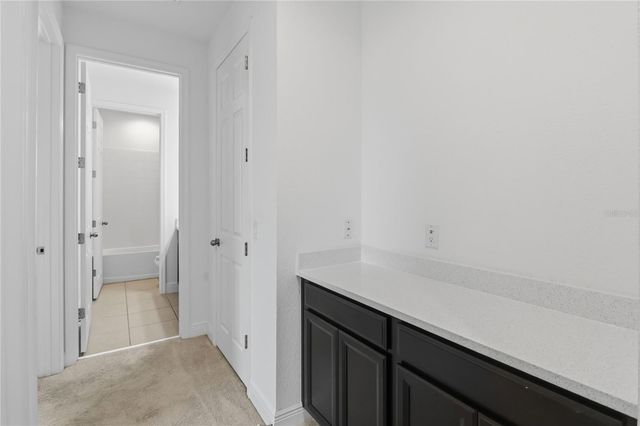 3393 WAUSEON DRIVE, St Cloud, FL 34772