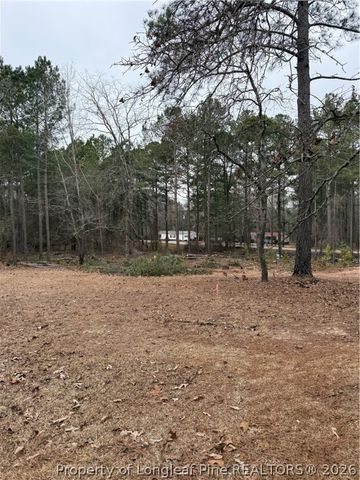 108 Richfield Court, Vass, NC 28394