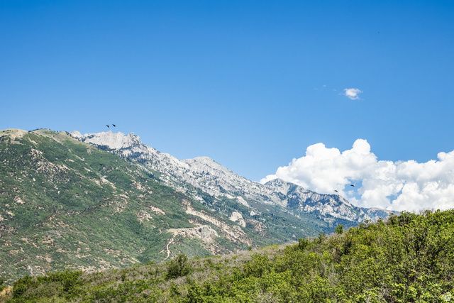 2011 E STONELEIGH DR, Draper, UT 84020