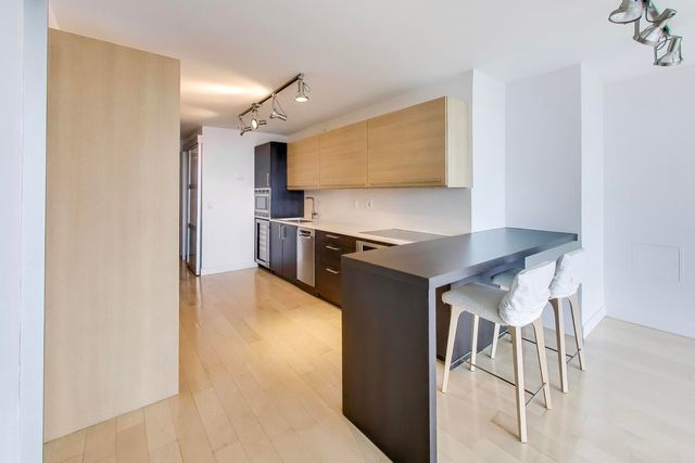 2 E Erie Street 3005, Chicago, IL 60611