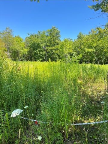 Mill Street, Theresa, NY 13691