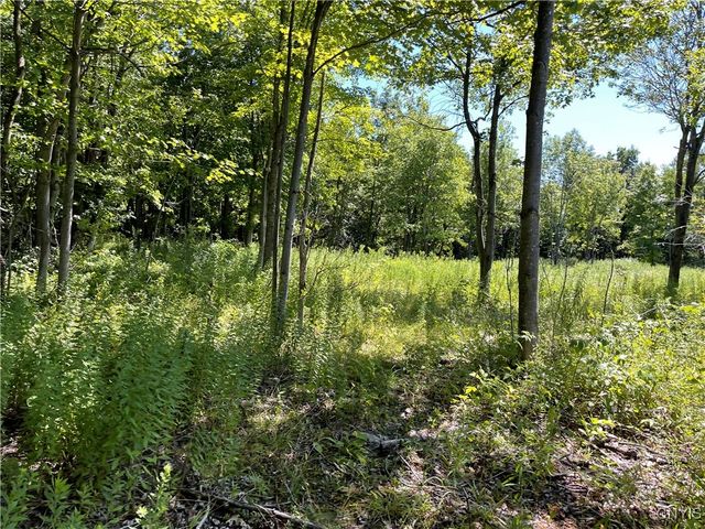 Mill Street, Theresa, NY 13691