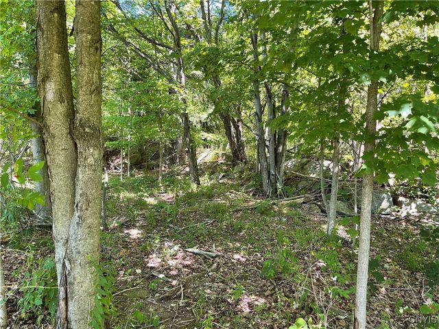 Mill Street, Theresa, NY 13691