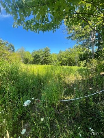 Mill Street, Theresa, NY 13691