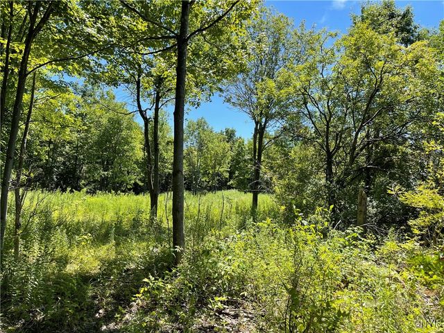 Mill Street, Theresa, NY 13691