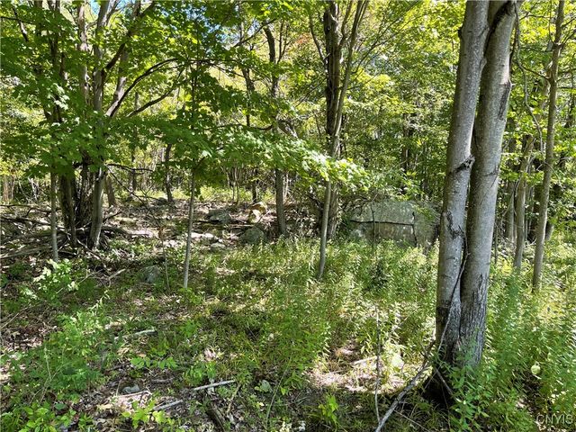 Mill Street, Theresa, NY 13691