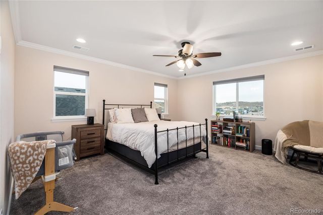 4938 Coltin Trail, Castle Rock, CO 80104