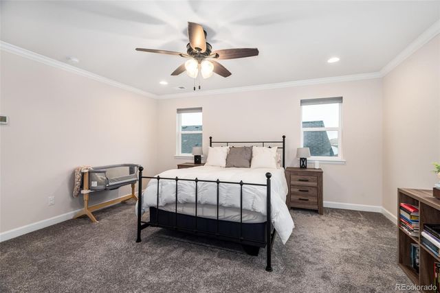 4938 Coltin Trail, Castle Rock, CO 80104