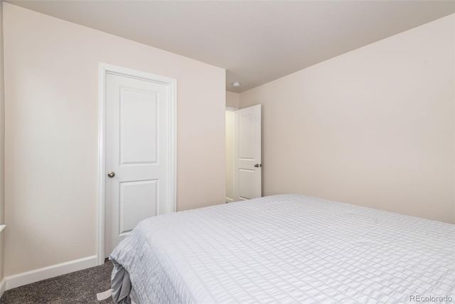 4938 Coltin Trail, Castle Rock, CO 80104