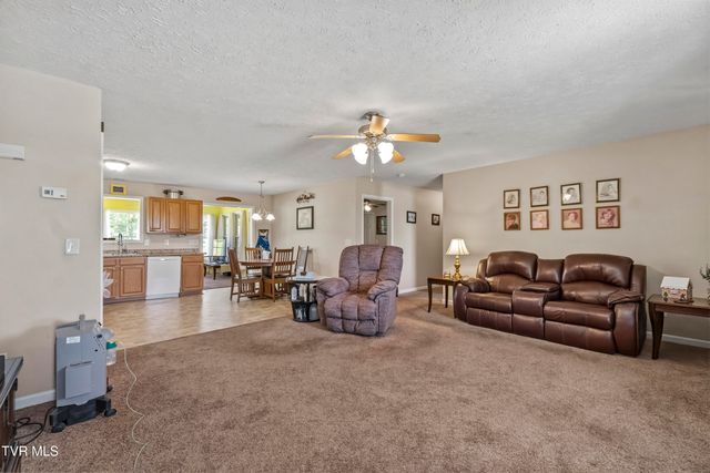 58 Fairview Ridges Drive, Afton, TN 37616