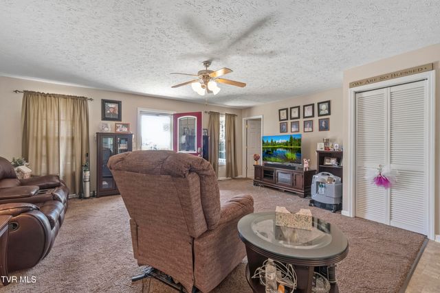 58 Fairview Ridges Drive, Afton, TN 37616