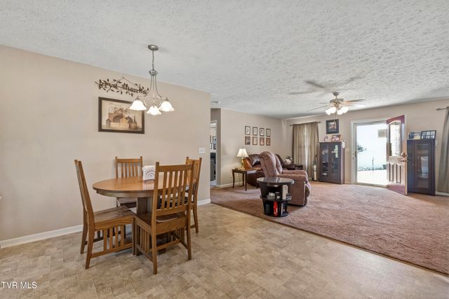 58 Fairview Ridges Drive, Afton, TN 37616