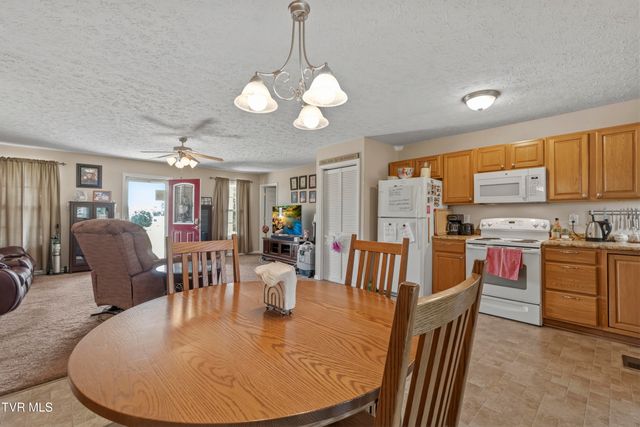 58 Fairview Ridges Drive, Afton, TN 37616