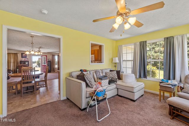 58 Fairview Ridges Drive, Afton, TN 37616