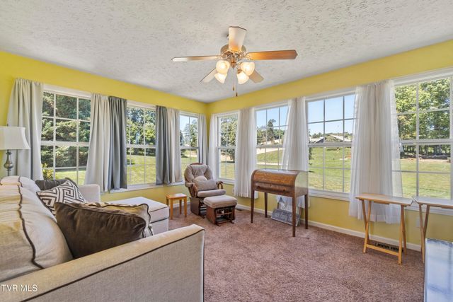 58 Fairview Ridges Drive, Afton, TN 37616