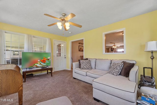58 Fairview Ridges Drive, Afton, TN 37616