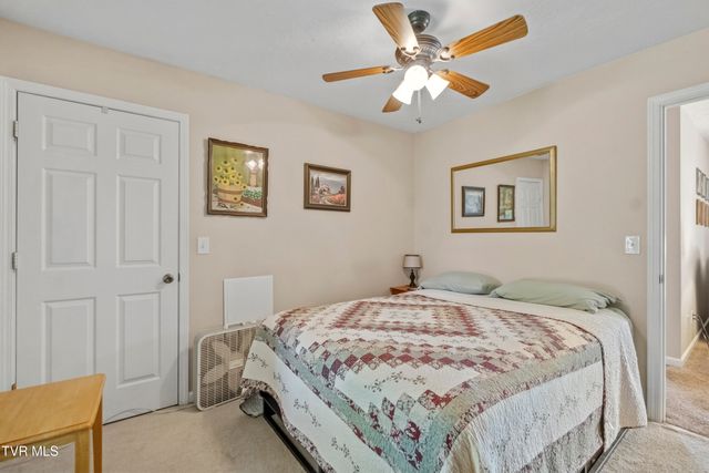 58 Fairview Ridges Drive, Afton, TN 37616