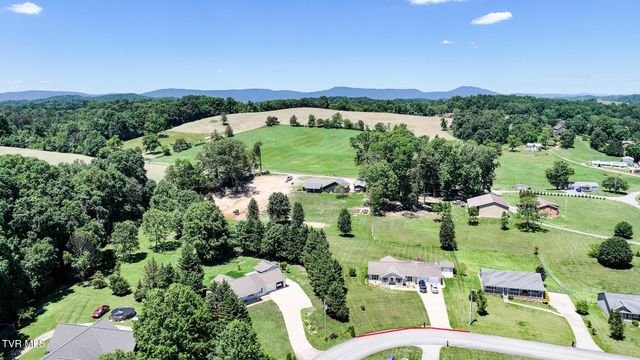 58 Fairview Ridges Drive, Afton, TN 37616