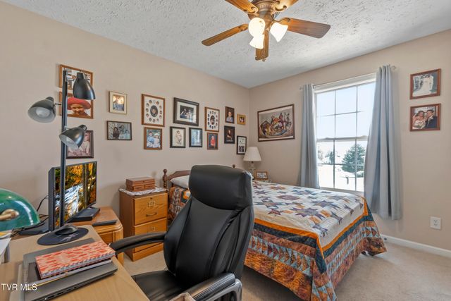 58 Fairview Ridges Drive, Afton, TN 37616