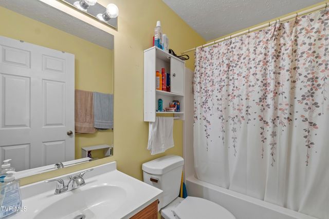 58 Fairview Ridges Drive, Afton, TN 37616