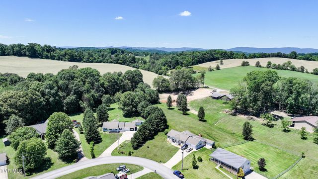 58 Fairview Ridges Drive, Afton, TN 37616