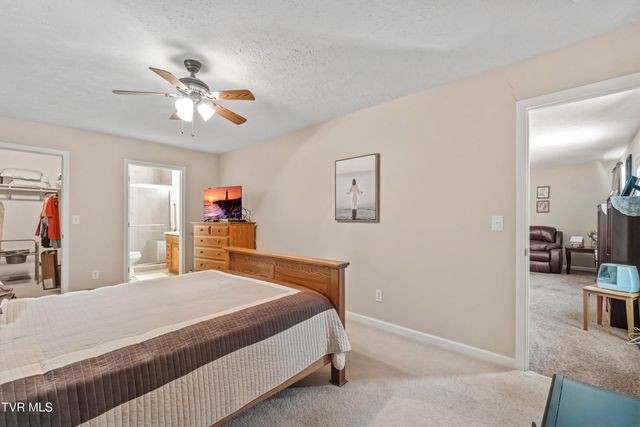 58 Fairview Ridges Drive, Afton, TN 37616