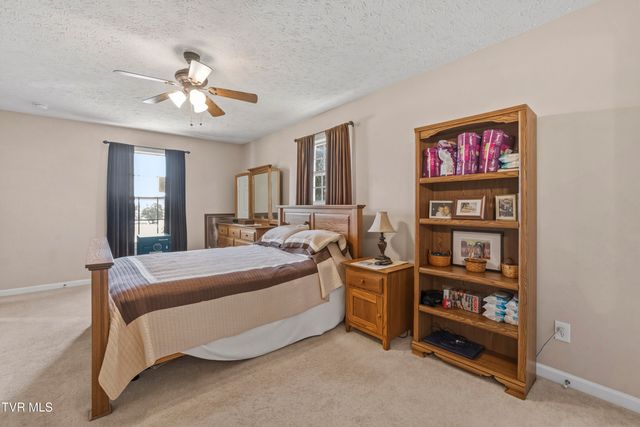 58 Fairview Ridges Drive, Afton, TN 37616