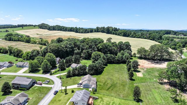 58 Fairview Ridges Drive, Afton, TN 37616