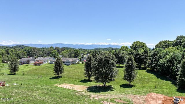 58 Fairview Ridges Drive, Afton, TN 37616