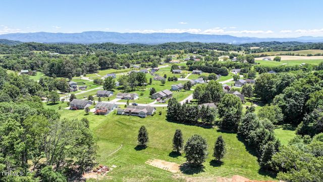 58 Fairview Ridges Drive, Afton, TN 37616