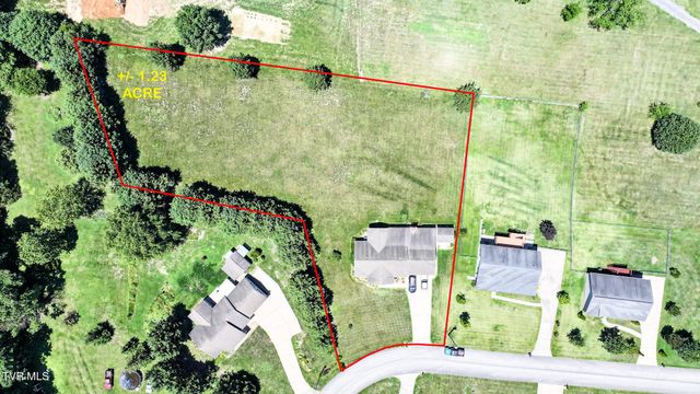 58 Fairview Ridges Drive, Afton, TN 37616