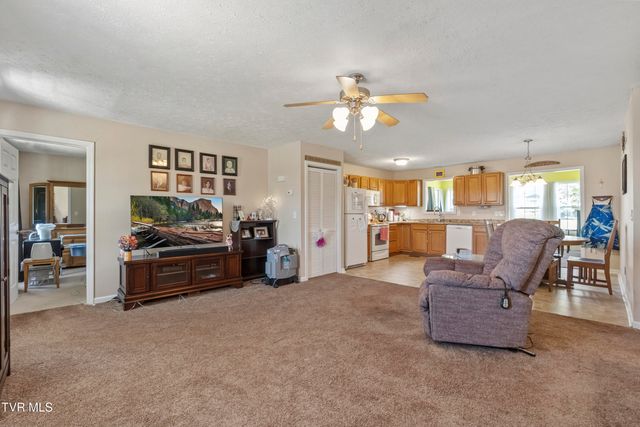 58 Fairview Ridges Drive, Afton, TN 37616