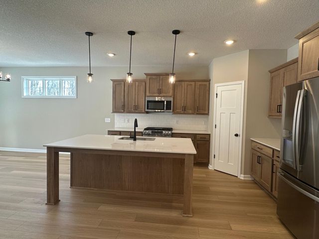 20064 Glenbrook Path, Lakeville, MN 55044