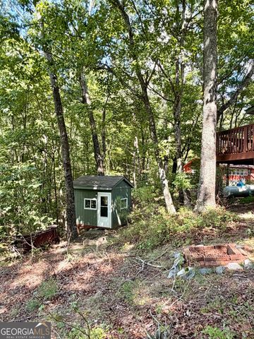 110 Ridge Drive, Ellijay, GA 30540