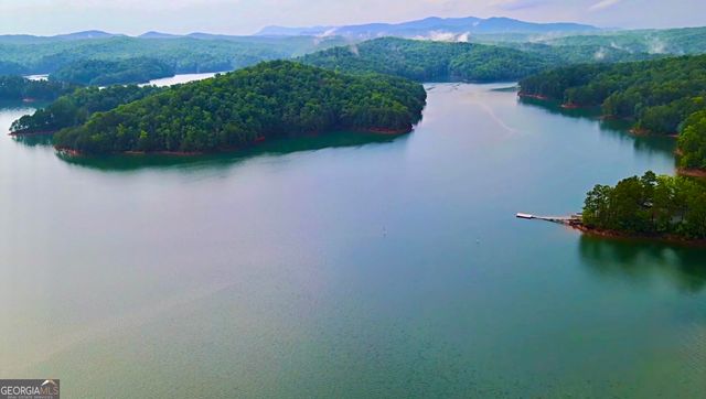 110 Ridge Drive, Ellijay, GA 30540