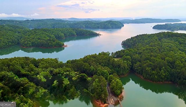 110 Ridge Drive, Ellijay, GA 30540