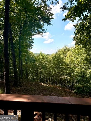 110 Ridge Drive, Ellijay, GA 30540