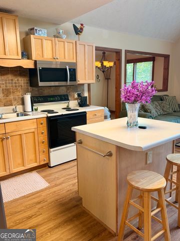 110 Ridge Drive, Ellijay, GA 30540