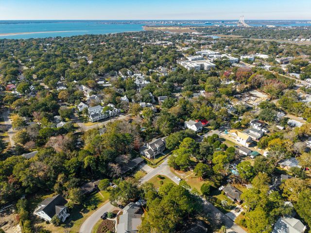 1335 Erckmann Drive, Mount Pleasant, SC 29464